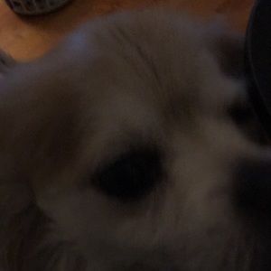 Meet your Posher, Jc